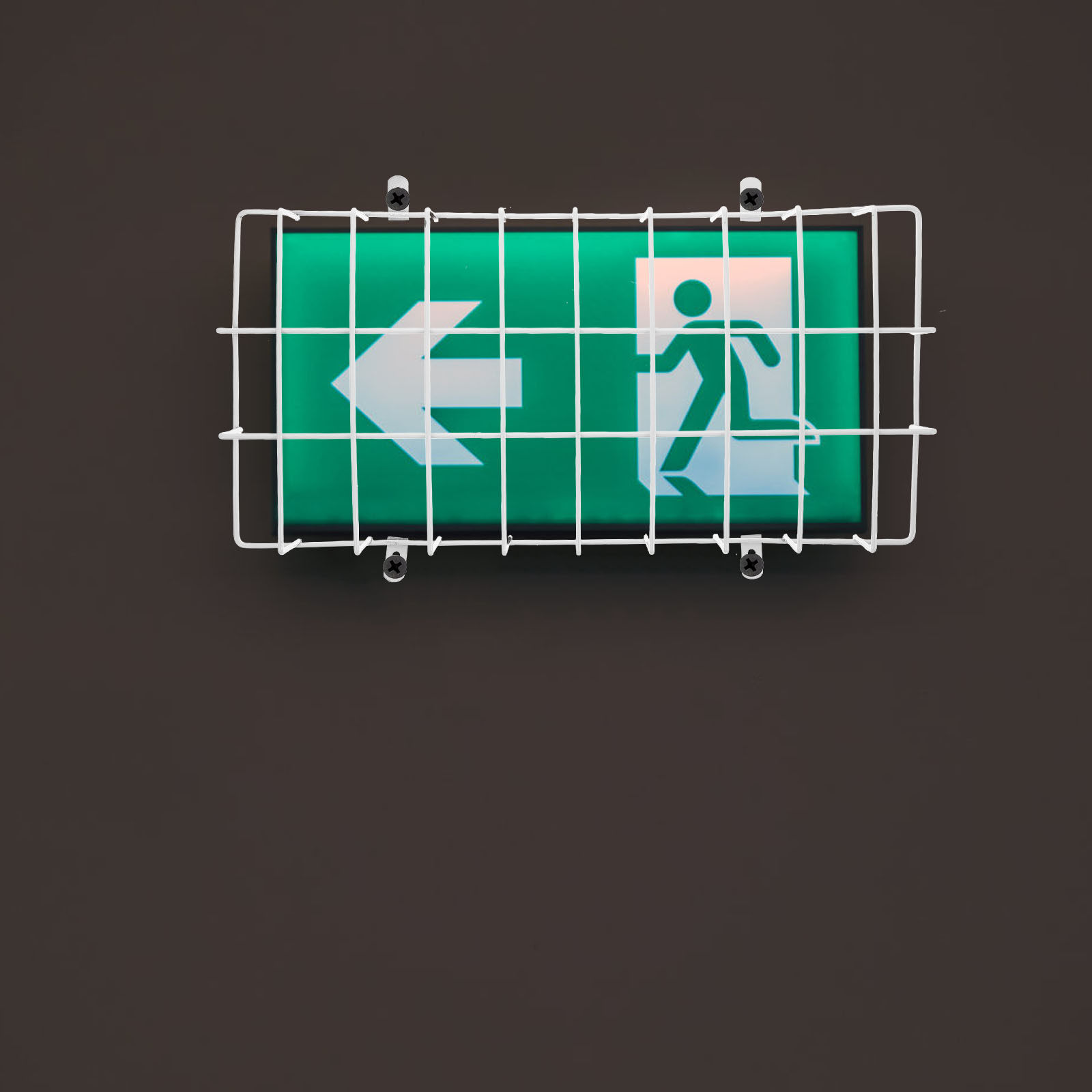Emergency Exit Sign - Protection métallique pour câble de signalisation