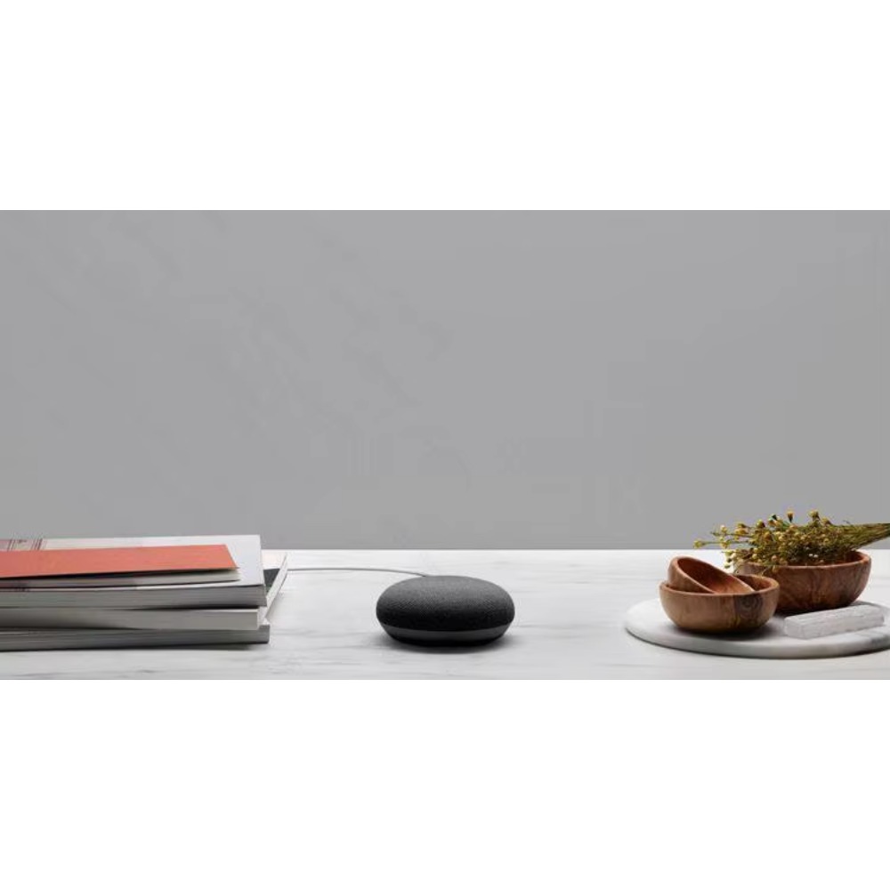 Pièce de rechange pour haut-pa - Google Speaker Nest Hub avis et prix